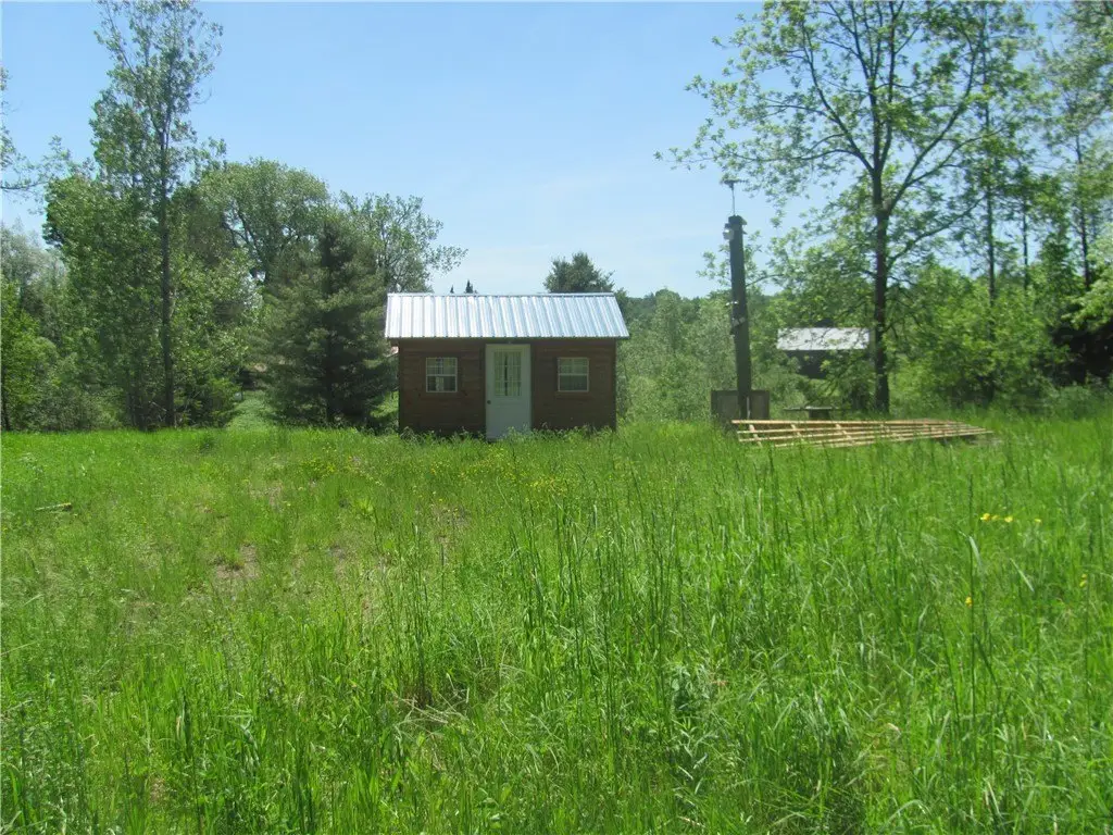Picture 8