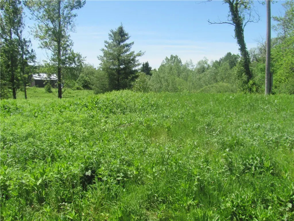 Picture 5