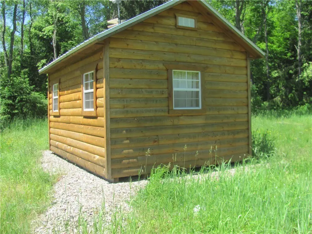 Picture 11