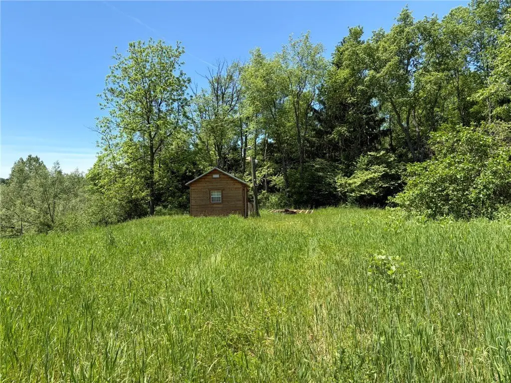 Picture 19