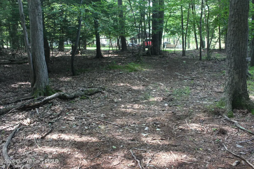 Picture 3