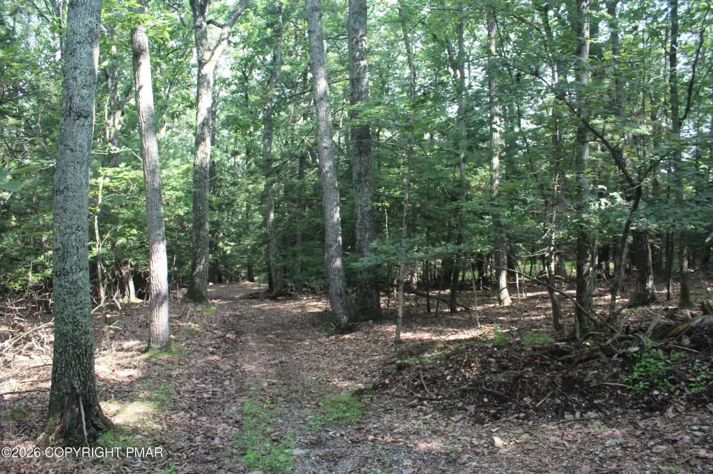 Picture 7