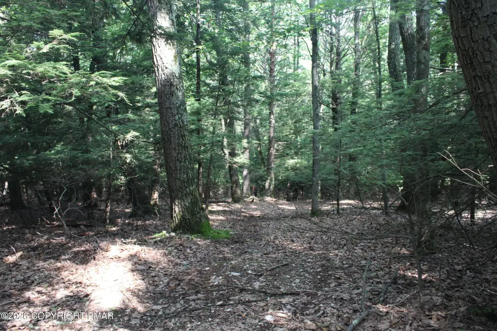 Picture 4