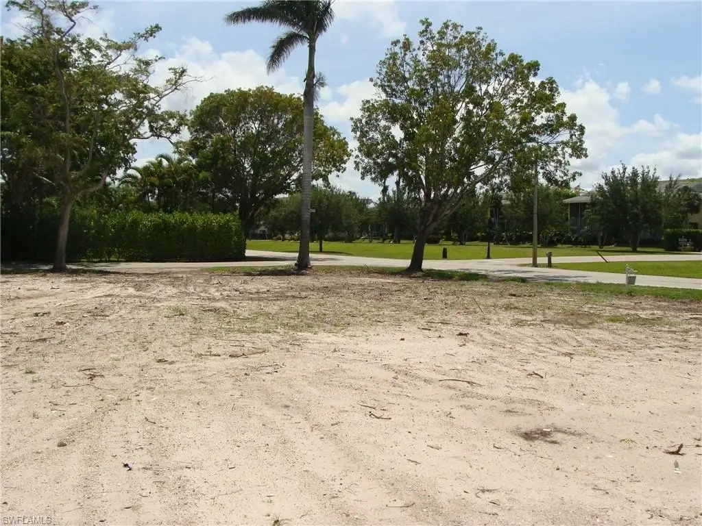 Picture 11