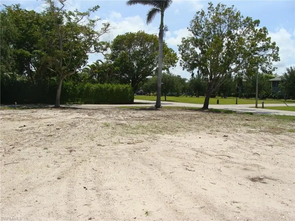 Picture 12