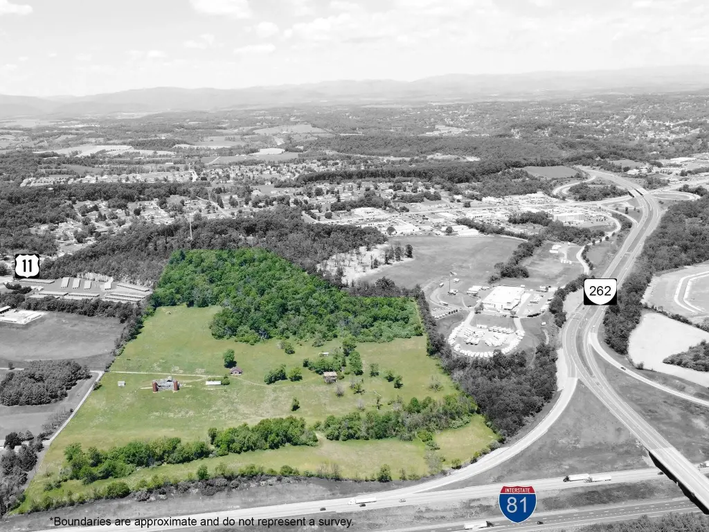 Picture 8