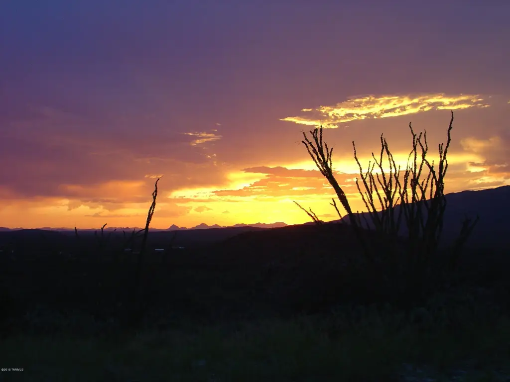 Picture 20