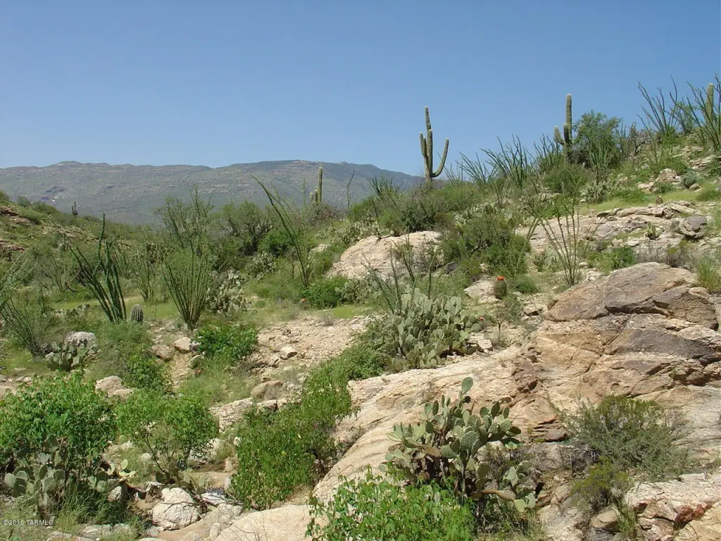 Picture 9