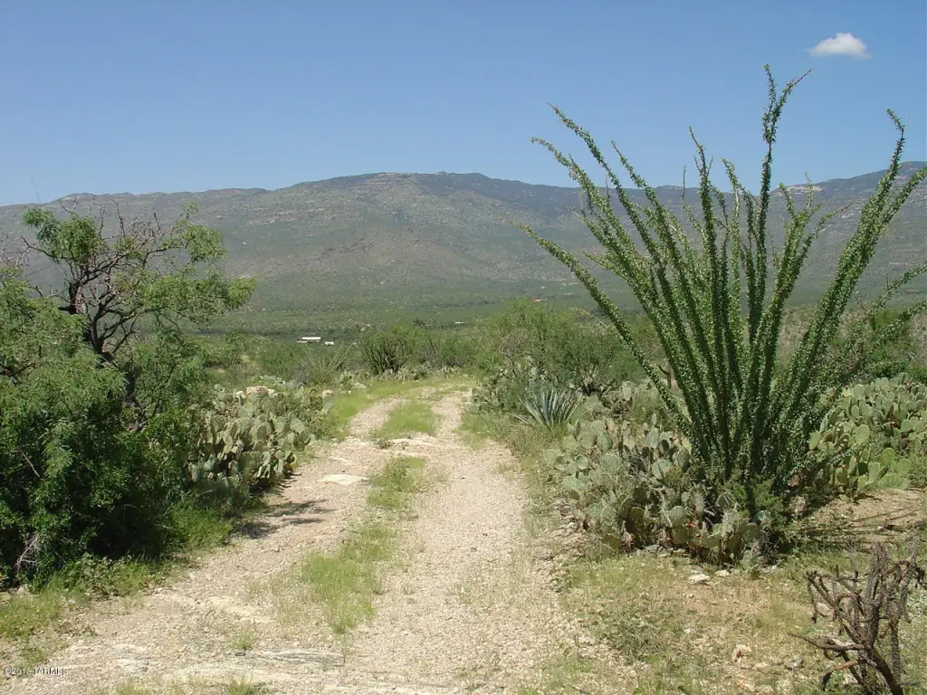 Picture 4