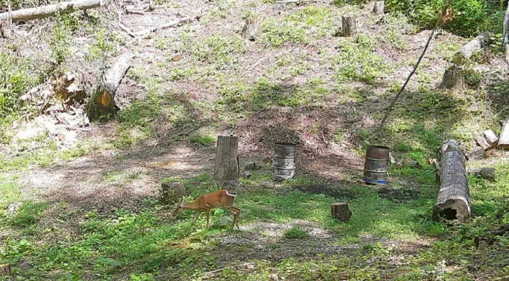 Picture 3