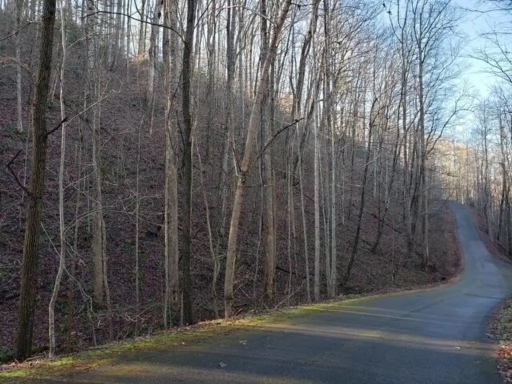 Picture 2