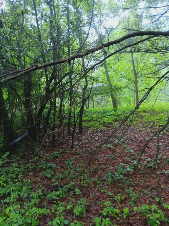 Picture 11