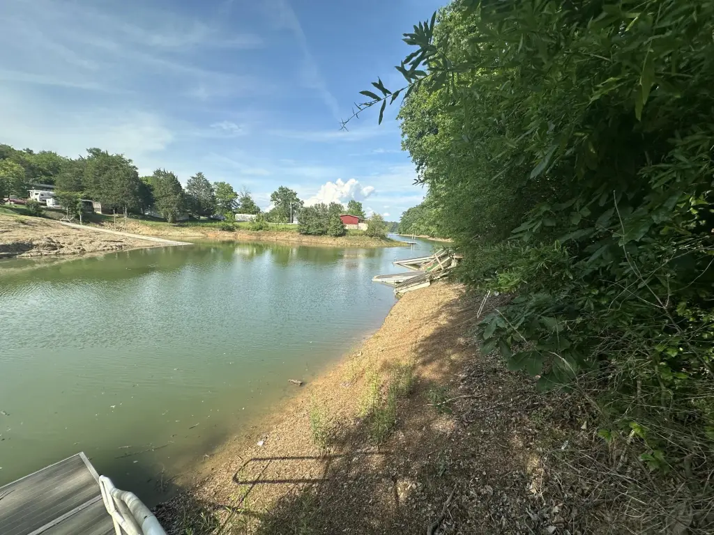 Picture 17