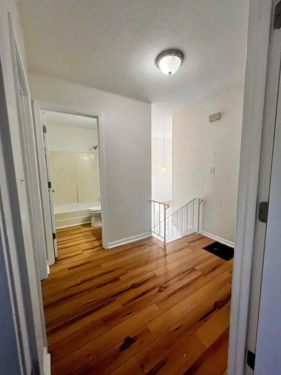 Picture 14