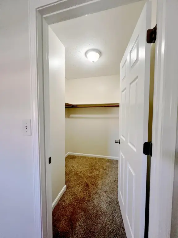 Picture 26