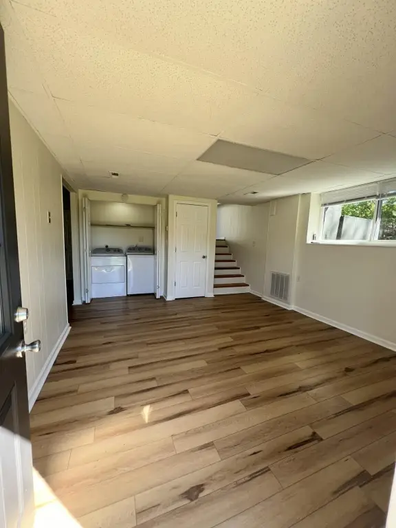 Picture 7