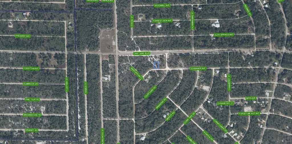 Picture 3