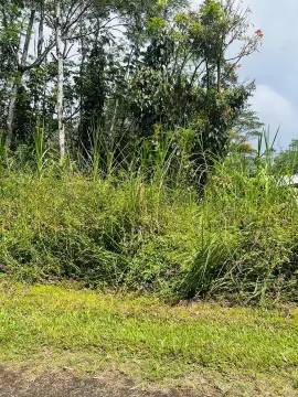 Land in Nanawale Estates