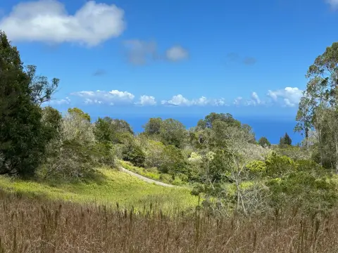 Land with Ocean Views