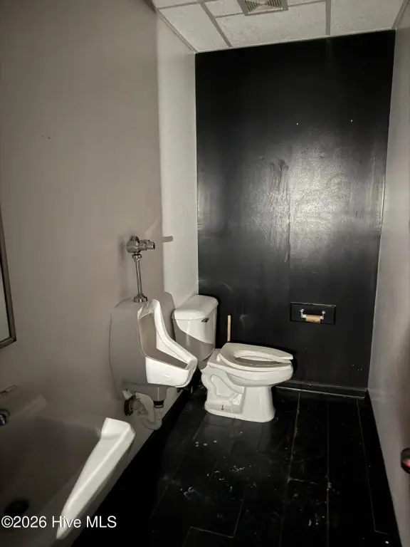 Picture 16