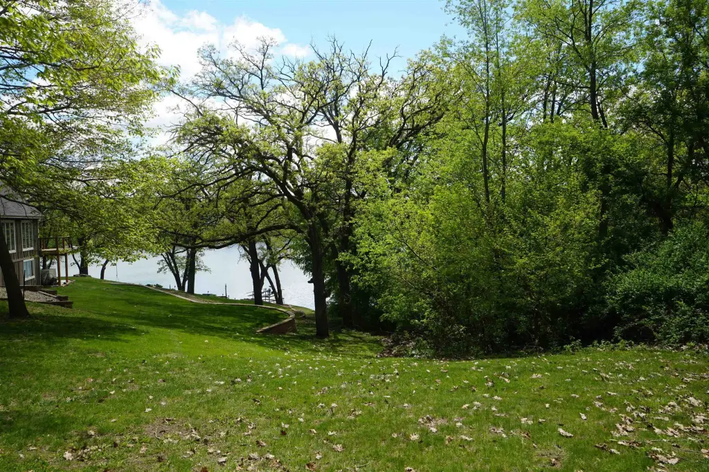 Picture 15