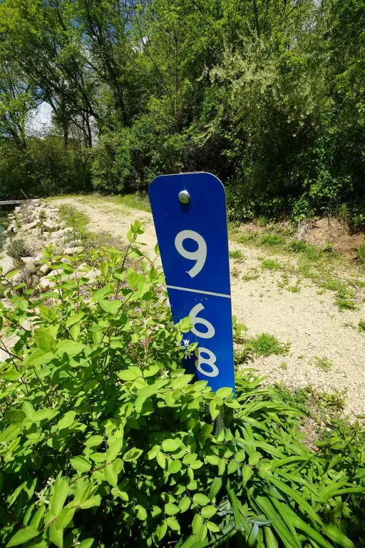Picture 24