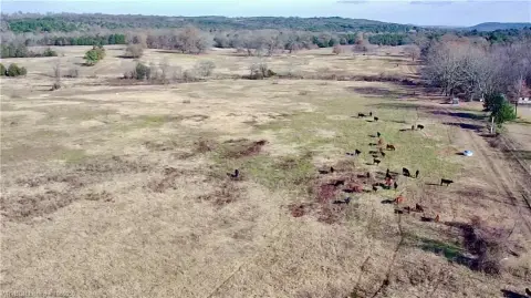 80 Acres of Pasture Land