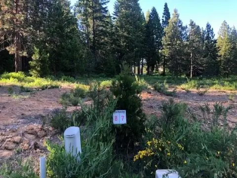 Land in McCloud Meadow Ranch