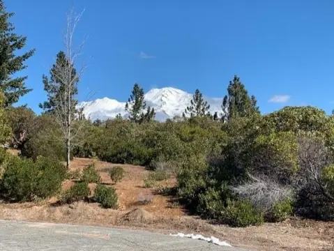 One-Acre Lot Near Mt Shasta