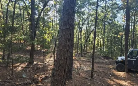 Recreational Land