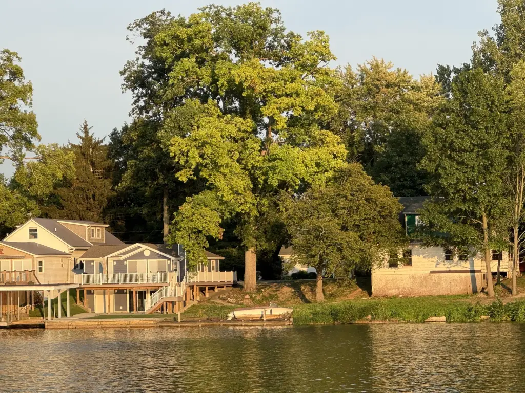 Picture 6