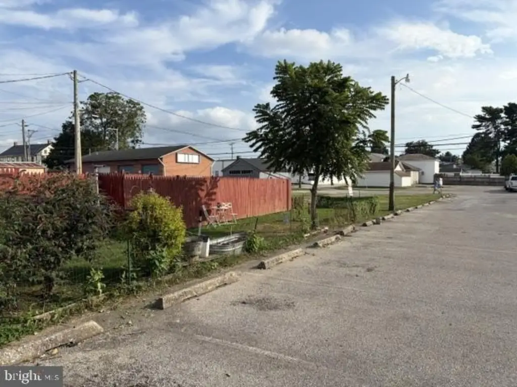Picture 3