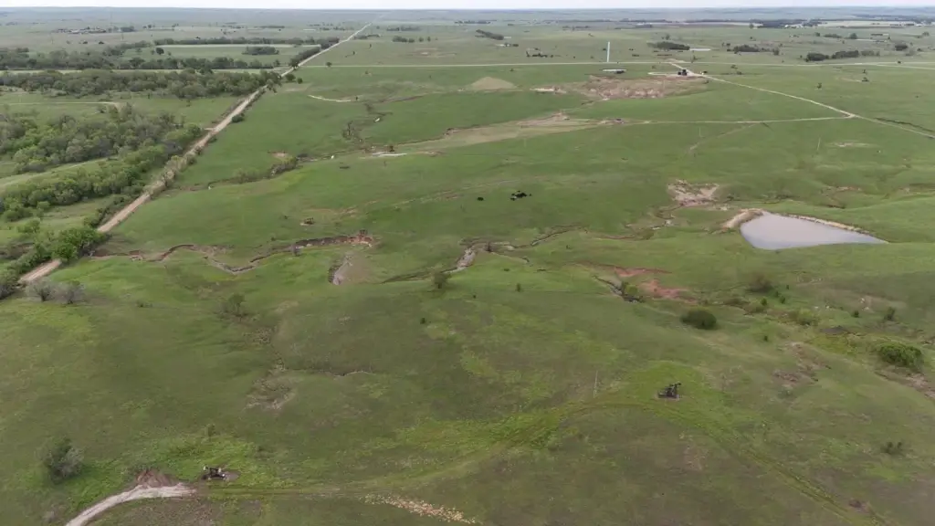 Picture 12
