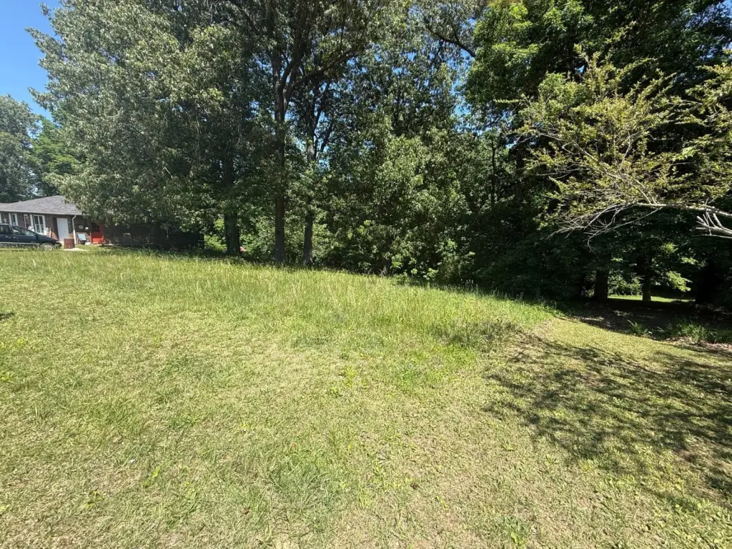 Picture 3