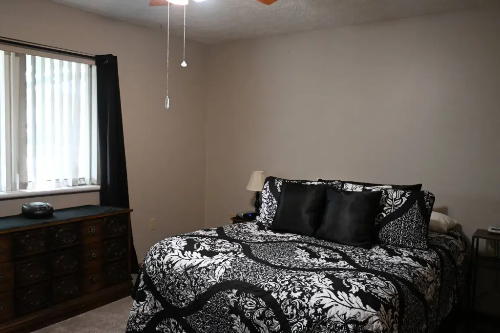 Picture 16