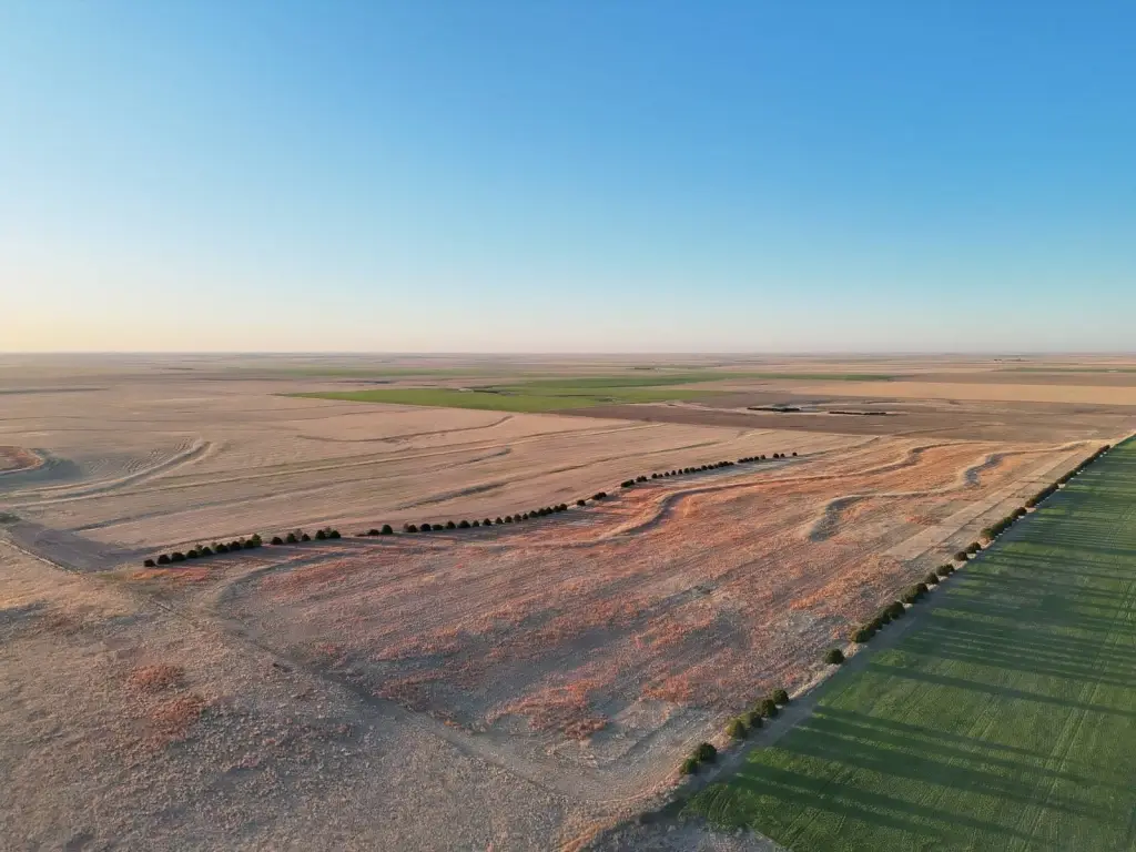 Picture 25