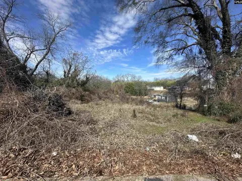 Residential Lot in Jonesville, SC