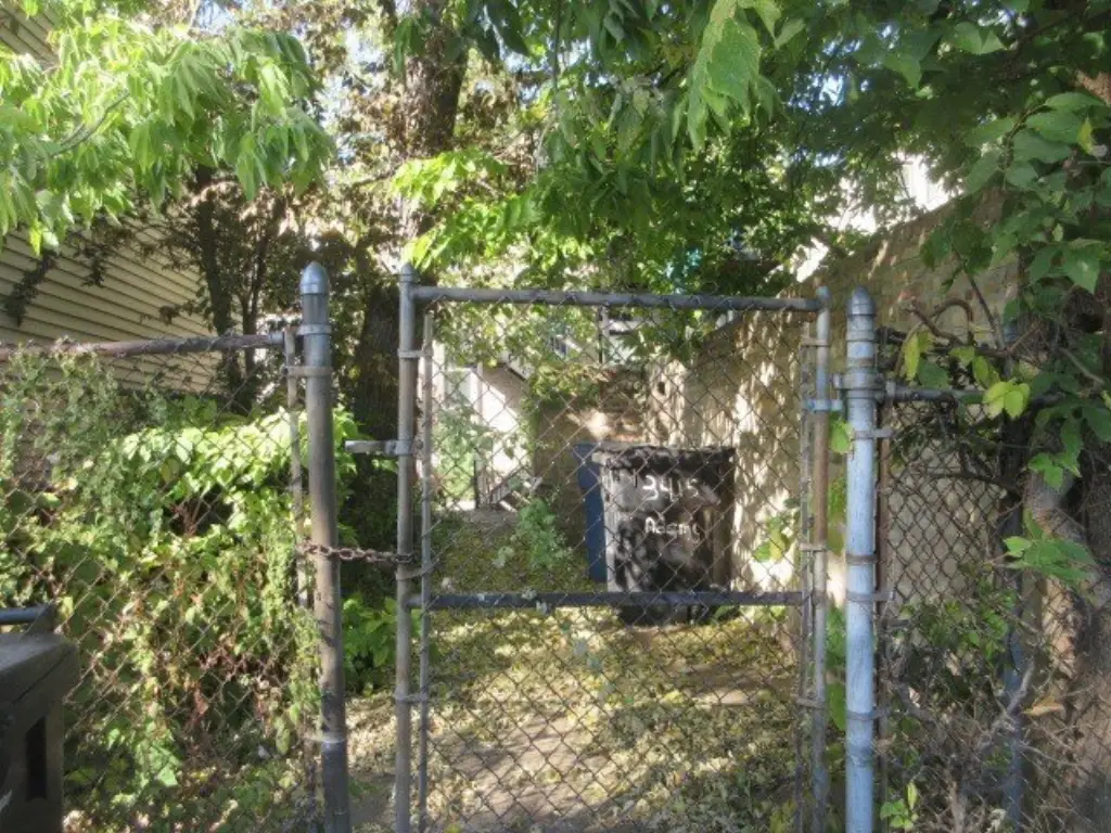Picture 6