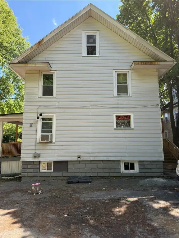 Picture 14