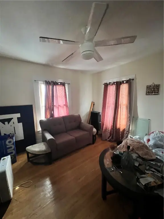 Picture 5