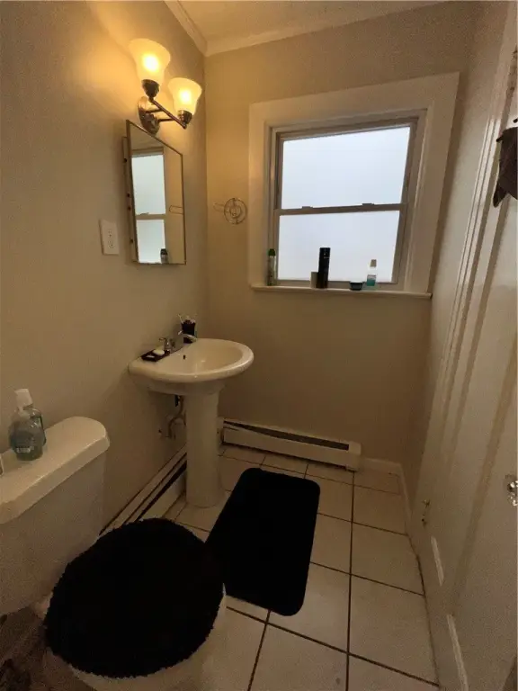 Picture 12
