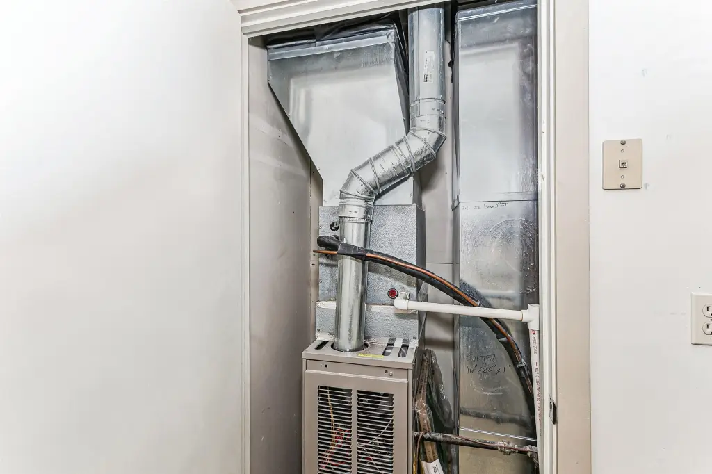 Picture 16