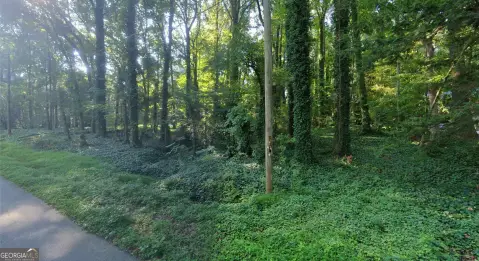 Lake Spivey Lot with Dock