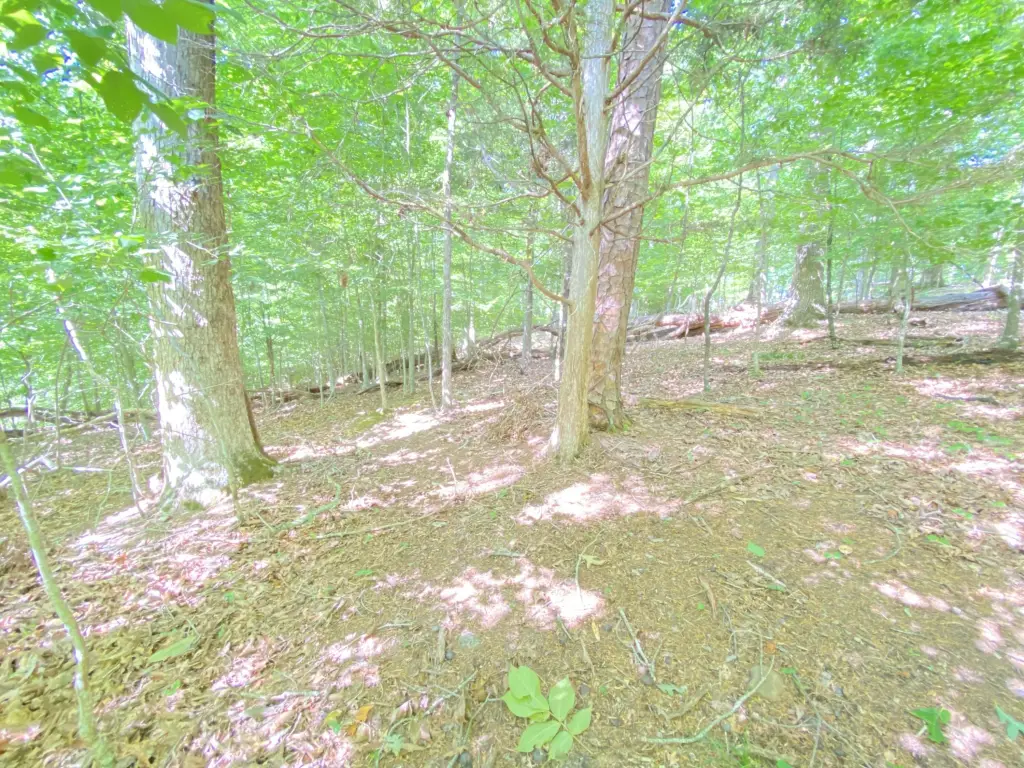 Picture 19