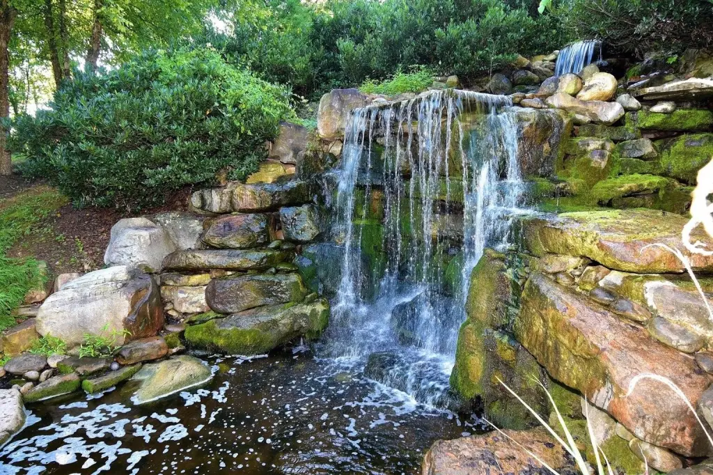 Picture 11