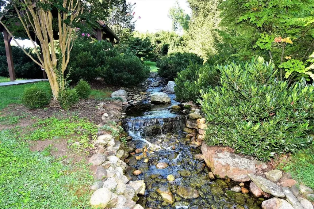 Picture 10