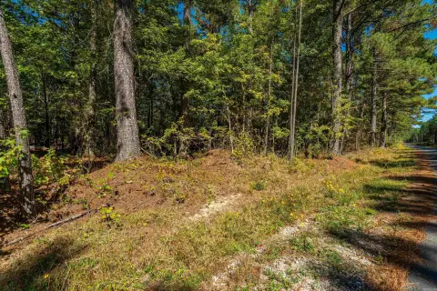 Hot Springs Acreage Homesite Potential