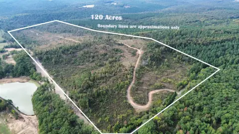 120 Acres on Dodd Mountain