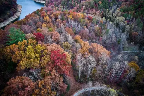 Land Near Nantahala Outdoor Center