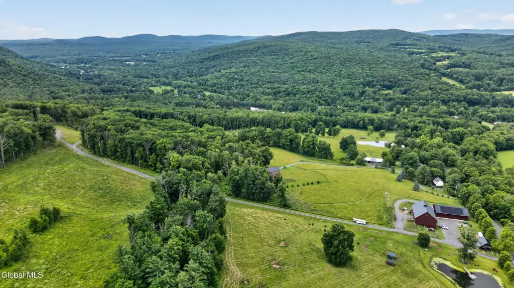 Picture 61